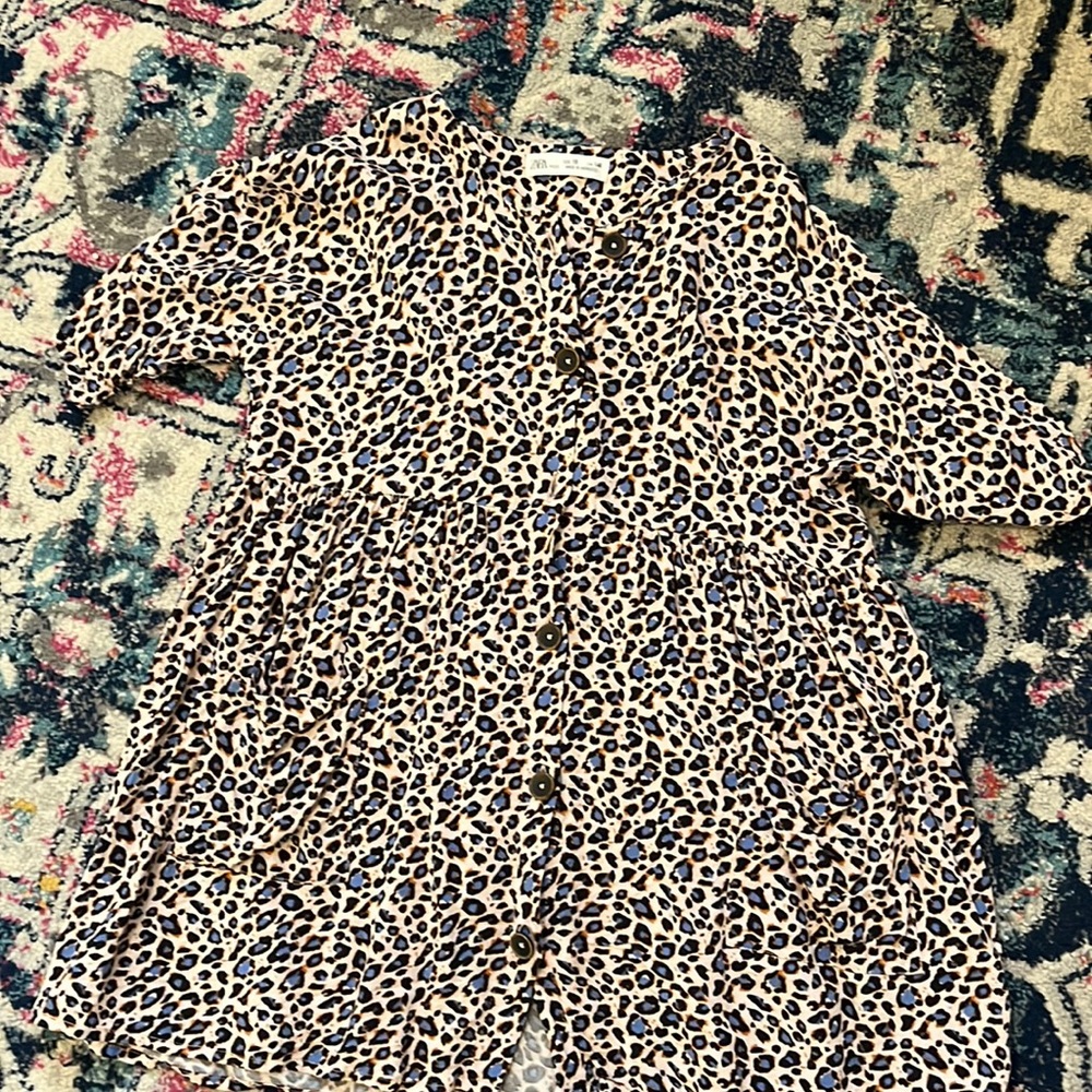 Zara dress